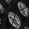20140424_Symphony_012BW-High%20Res%20JPEG%20300%20DPI.jpg