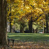 20201106_Fall_Ambler_001-High%20Res%20JPEG%20300%20DPI.jpg